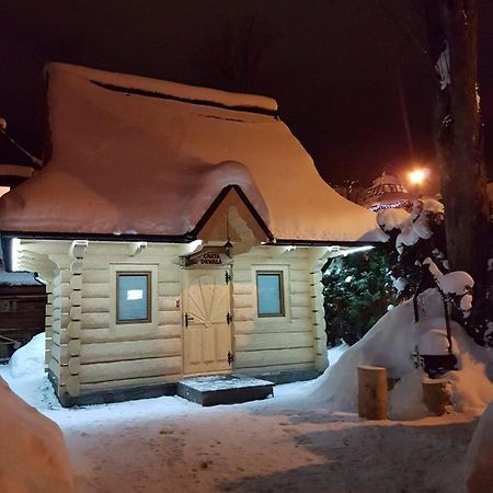 Dadejowka Zakopane Villa Eksteriør billede