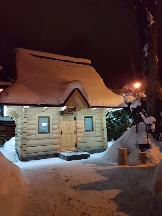 Dadejowka Zakopane Villa Eksteriør billede