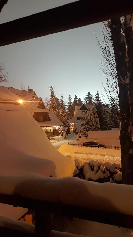 Dadejowka Zakopane Villa Eksteriør billede